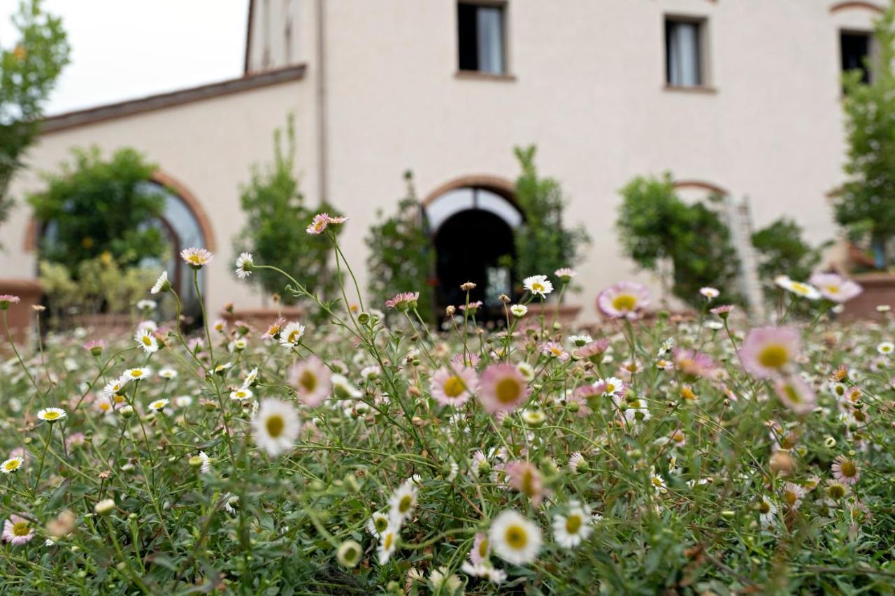 Paradis Agricole Pietrasanta Dış mekan fotoğraf