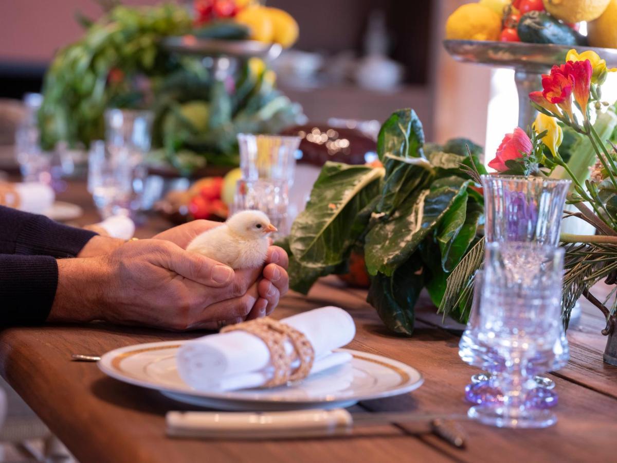 Paradis Agricole Pietrasanta Dış mekan fotoğraf