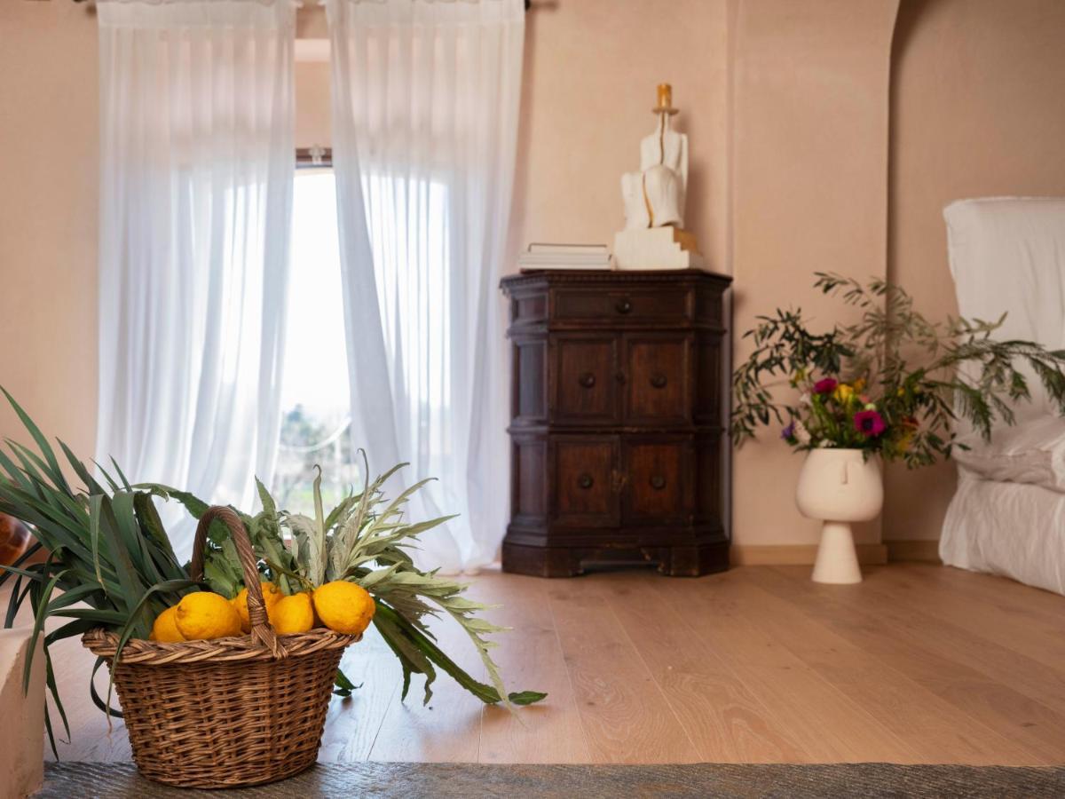 Paradis Agricole Pietrasanta Dış mekan fotoğraf